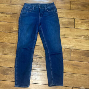 Silver Avery skinny jeans